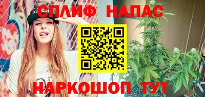 гидра Нарткала